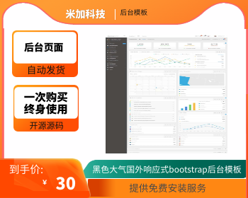 黑色大气国外响应式bootstrap网页后台模板