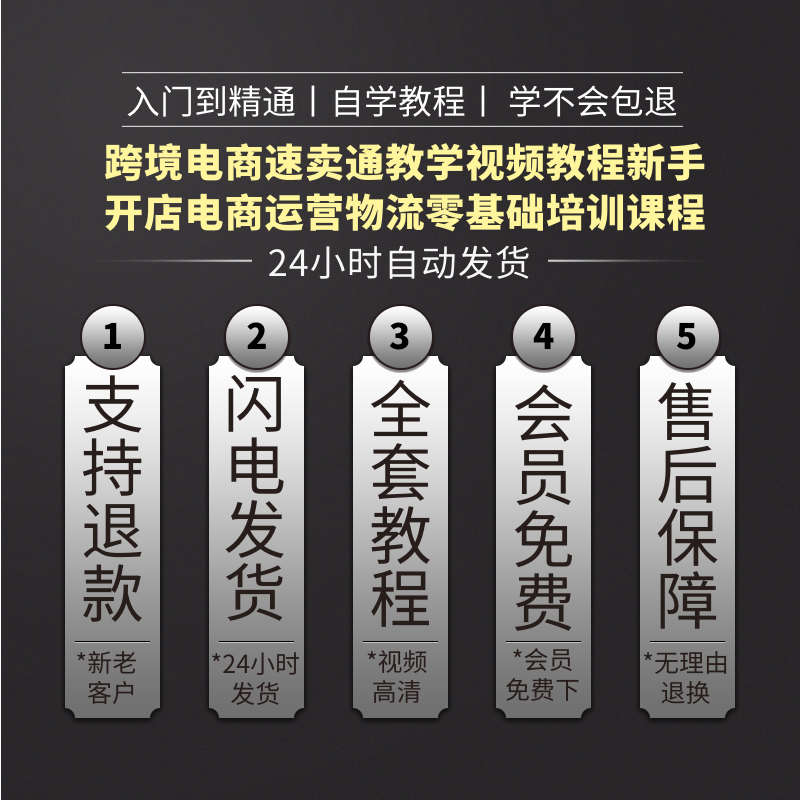 跨境电商速卖通教学视频教程新手开店电商运营物流零基础培训课程