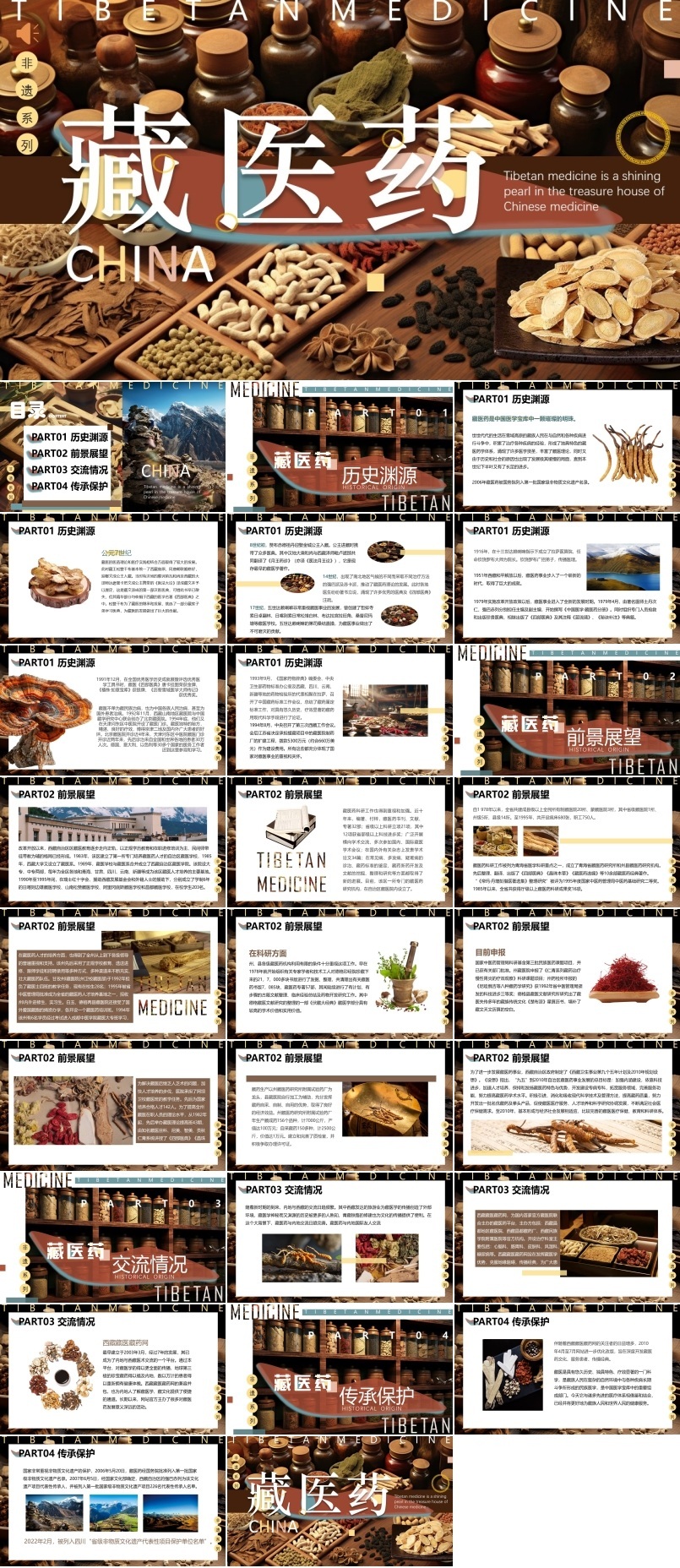 非遗文化藏医药介绍PPT